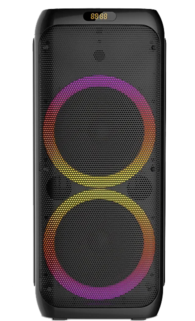 سبيكر 10 انش دبل ZQS10209